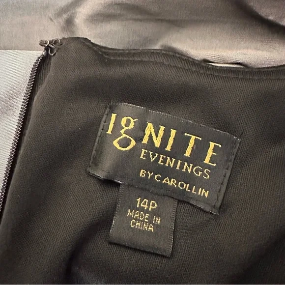 Ignite Evenings Black and Gray Embroidered Midi Dress, 14P - Picture 10 of 13